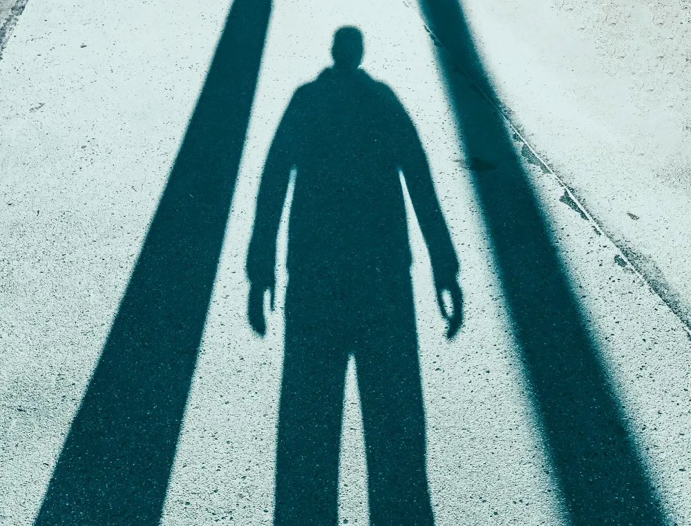 What is shadow work?